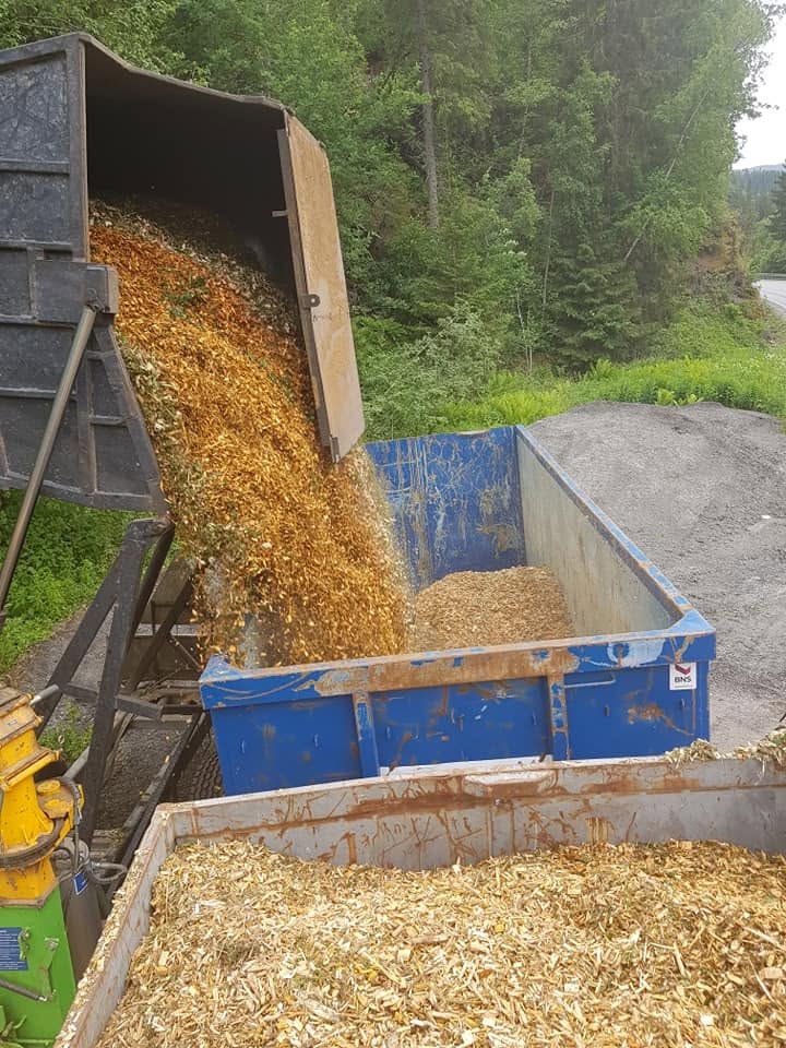 Trepleie og klatring i tre